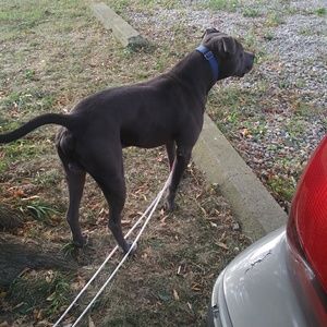 Meet your Posher, Sky